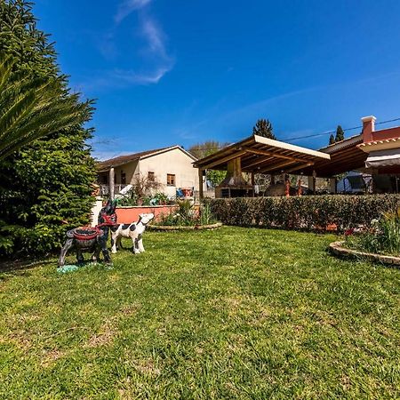 Antonela Sunshine Apartment By Corfu Escapes ペラマ エクステリア 写真